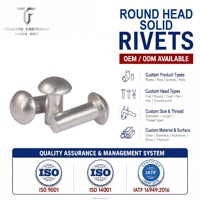TianFang Rivet Plein Rond Acier Galvanisé/Alu pour Électronique, Machine & Bâtiment