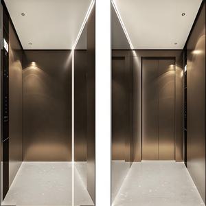 Ascensor Residencial Pequeño Totalmente Automatizado, Capacidad de Carga de 630 kg, Ascensor de Tracción para Viviendas, Seguridad de PVC para 3 Personas, Ascensor Económico para Hoteles - Product Image 1