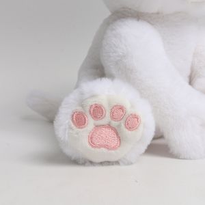 Peluche Gatto Seduto <span class=keywords><strong>Baby</strong></span> Friends 20cm, Giocattolo Morbido Anime, Pupazzo Comforter Antistress con Imbottitura in PP, Personalizzabile ODM, Confezione OPP - Product Image 5