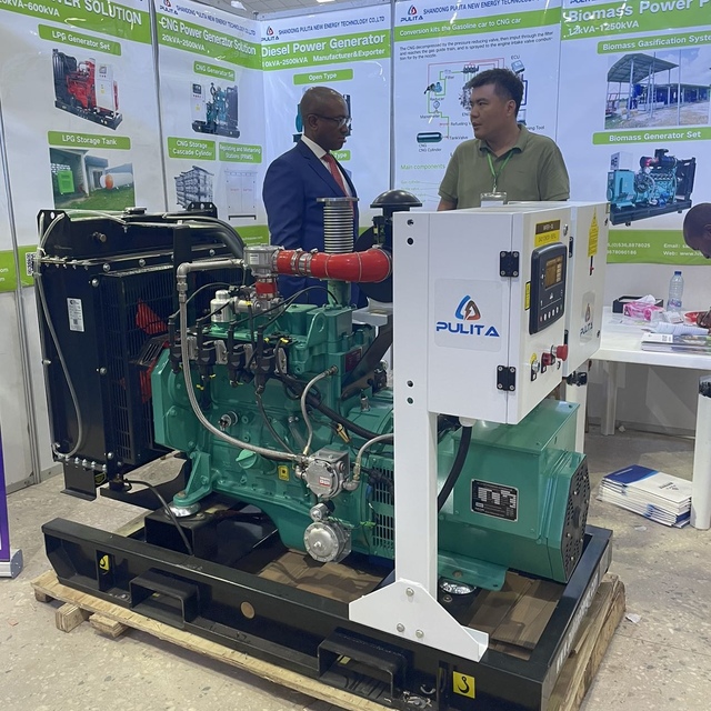 16kw 20kva 20kw 25kva 36kva 22kw 23kw Powered Inverter Electric Home Single Phase 3 Phase Natural Gas Generator Lpg Generator