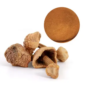 Mushrooms Extract Powder Agaricus Blazei Extract Placed In Cool Dry Place Sample Available Herbal Supplement