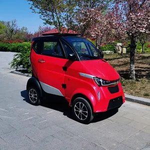 Voitures électriques à 2 sièges jardin approuvé, certificat de conformité approuvé CE, importé de la chine