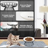 Bol surélevé en céramique écologique pour animaux de compagnie Design ergonomique antidérapant pour le soulagement cervical Plat d'alimentation anti-déversement pour chat et chien pour l'intérieur