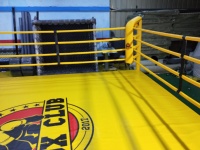Ring de boxe Muay Thai standard de compétition, taille 4mX4m 5mX5m, rings de boxe, cages MMA, couleur noire, escalier pour salle de boxe