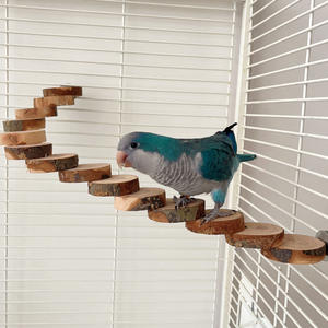 Plataforma Moderna Ecológica de Madera Maciza para Aves, Juguete de Escalera para Hámster, Escalera de Manzana para Loros, Marco de Escalada para Aves con Mordedor Molar - Product Image 2