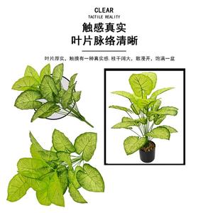 Plantas Verdes Simuladas, Árboles Artificiales, Lirios Calla en Maceta al por Mayor, Decoración del Hogar, Arreglos de Paisajismo para Hoteles y Jardines - Product Image 5