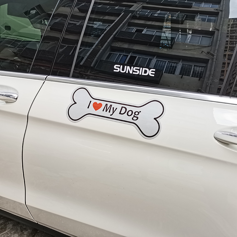 Divertente adesivo per paraurti gay solo parcheggio divertente, 10 pezzi adesivi per paraurti auto divertenti cartelli da cucina (6 x 9 cm