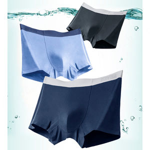 Micromodal sous-vêtement 100s homme slips sans couture jambe courte hommes caleçons respirant sans étiquette Micro Modal sous-vêtement Boxer pour hommes - Product Image 2