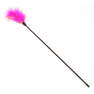 Groothandel Fabrikanten Grappige Kat <span class=keywords><strong>Teaser</strong></span> Stick Interactief <span class=keywords><strong>Plastic</strong></span> Speelgoed Om Katten Te Laten Spelen En Verliefd Te Worden - Product Image 2