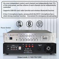 Amplificateur professionnel de mélangeur de puissance stéréo Max haute Performance de qualité supérieure 250w avec fente pour carte SD FM USB pour la performance sur scène
