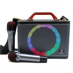 Nhà Máy Giá không dây năng động mic hệ thống có thể sạc lại pin không dây karaoke Microphone loa cho bé - Product Image 4