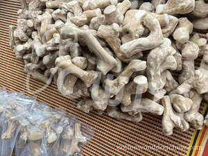 Jouet à mâcher pour chien en bois de café, naturel et biologique, durable, pour le nettoyage des dents, bâton à mâcher, fabrication directe d'usine OEM, Vietnam, taille M - Product Image 3