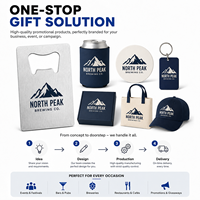 Décapsuleur de bouteille format carte, logo personnalisé, porte-clés en métal, décapsuleur de bière, plusieurs couleurs, plat, vente en gros, cadeau