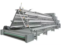 Système de cages en cage de type A, cage à poules pondeuses galvanisée, équipement d'élevage automatique pour l'élevage de poules pondeuses