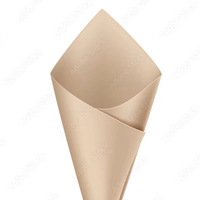 Cône en papier de qualité alimentaire, jetable, écologique, pour crêpes, gaufres, frites, chips, pizza, sucre, chocolat, couleur et taille personnalisées