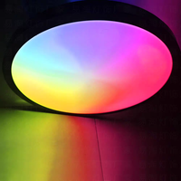 Tuya Moderne Minimaliste RGB Smart LED Plafonnier Intérieur Lampe Ronde avec Contrôle APP Base en Plastique pour Éclairage de Salon