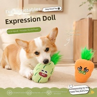 Nouvel Arrivage Jouets en Peluche Thème Fruits du Zhejiang - Poupées Chat/Chien Maïs, Brocoli, Oignons Verts ; Modèles de Jouets Interactifs et Créatifs