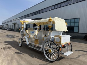 Voitures à cheval royales abordables Cendrillon chariot sans cheval chariot électrique de princesse en vente - Product Image 2