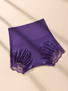 Culottes gainantes taille haute en dentelle, extensibles, <span class=keywords><strong>sexy</strong></span> et confortables pour le yoga et le sport, sous-vêtements féminins, vente chaude, vente en gros transfrontalière - Product Image 3
