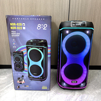 Altavoz Karaoke Inalámbrico NDR-820 de 8 Pulgadas con Bluetooth, Micrófono, Luces RGB Portátiles, Subwoofer 3D con Bajos Potentes, Ideal para Fiestas