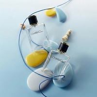 Flacon de parfum en spray personnalisé avec logo, flacon atomiseur de parfum vide, 30 ml, 50 ml, flacon de parfum réutilisable pour cadeau
