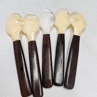 Cuillère à assaisonnement haut de gamme Seashell, 16 cm de long, manche en bois, artisanale, ovale, finition miroir polie