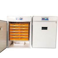 Incubateur automatique pour cailles XM-18D avec contrôleur, en vente