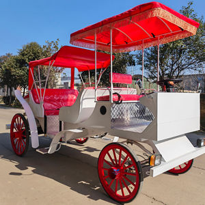 Chariot Électrique Spécial pour Mariage : Carrosse de Princesse pour Transport de Mariage et Tourisme - Product Image 1