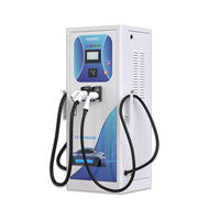 Estación de Carga Rápida para Vehículos Eléctricos Bluesky de 120kW con Doble Conector, IP55 Anticorrosión, Certificación PEA, Actualización Remota OTA, Clima Tropical, Nueva