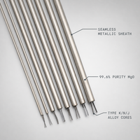 Kabel Termokopel Berkualitas Tinggi Tipe K/S/B 0.5-12mm Selubung Logam MI 2-6 Inti Isolasi Mineral 600V