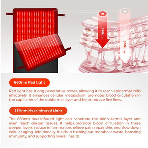 Eyco 660nm 850nm gần hồng ngoại thiết bị đầy đủ cơ thể Pad giường Pain Relief Red <span class=keywords><strong>LED</strong></span> liệu pháp ánh Sáng ngủ mat - Product Image 4