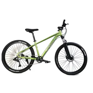 Wholesale Cheap 10 Speed MTB Men Mountain Bike Bicycle