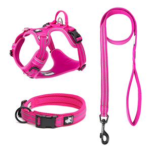 Truelove Großhandel No Pull Hunde halsband und Leine Set Luxus Hochwertiges Nylon gewebe Weiches Futter Verstellbares Haustier westen geschirr - Product Image 1