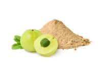 Extrait de fruit nutritif poudre de fruit d'alma poudre d'extrait de fruit d'amla poudre d'alma
