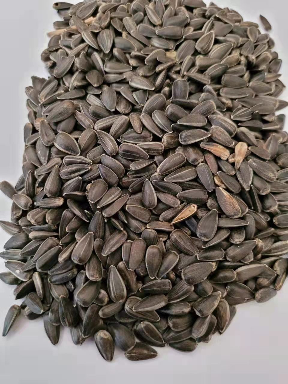 sunflower seeds small for wedding