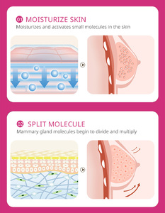 Maycheer Vente en gros Crème d'agrandissement mammaire Crème serrée aux hormones féminines Crème raffermissante aux gros seins Crème d'amélioration mammaire - Product Image 5
