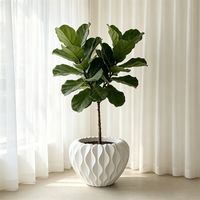 Pot de fleurs ovale blanc brillant à cannelures ondulées avec bord festonné pour la décoration moderne de la maison et du jardin