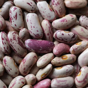 LSKB-granos de riñón, granos de forma larga, orgánicos, secos, con luz moteada, novedad - Product Image 2
