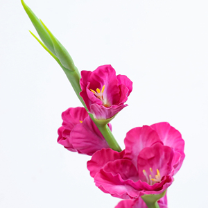 Gladiolus artificiel en gros à longue tige, <span class=keywords><strong>fleur</strong></span> de lys en soie multicolore pour événements, hôtels, <span class=keywords><strong>d</strong></span>écoration intérieure et vases de fleuristes - Product Image 4