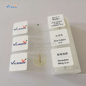 Lames préparées d'histologie animale : Cartilage hyaline, glande olfactive de langue de lapin, pour l'enseignement médical - Product Image 6