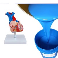 Vie coulée silicone caoutchouc foie humain coeur géant oreille estomac cataracte oeil modèle