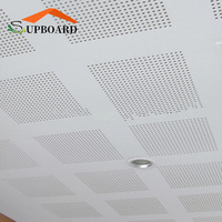 Paneles de Techo Falso Decorativos de PVC Laminado para Oficinas y Salones