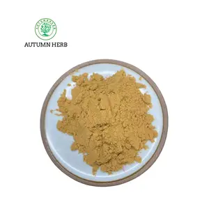 Autumn Herb Cordyceps Sinensis Extract Powder