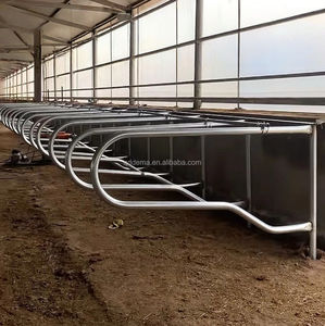 Cubo de vaca de una sola fila compatible con la normativa de bienestar animal de la UE, certificado CE, para vacas <span class=keywords><strong>Holstein</strong></span> - Product Image 1