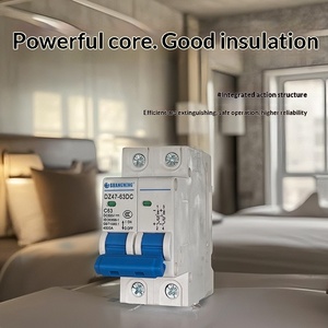 <span class=keywords><strong>DC</strong></span> Devre Kesici Plastik DC500V Elektrikli Araç Hava Anahtarı 1P 2P 3P 4P 6-63A - Product Image 3