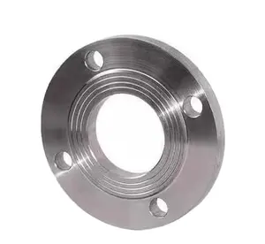 Factory Wholesale Ring Rolling Forging Stainless Steel Flange Plate Flange 304 316 Flanges