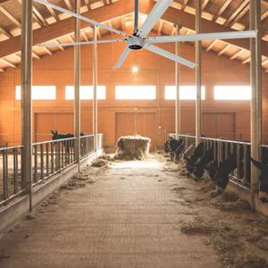 AMCLING 16ft 12ft 220V 1.5kw 1.1kw Gran 5 Aspas Pmsm Hvls Motor de Ventilador de Techo Industrial - Product Image 5