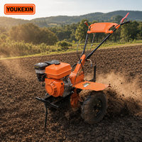 Motoculteur agricole 10 CV à moteur diesel avec embrayage à disque pour verger, dents en acier robustes, profondeur de travail réglable