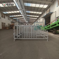 Fabricant de boxes pour truies, fourniture directe, boxes de gestation pour truies en acier galvanisé, équipement d'élevage porcin, vente en gros d'usine, taille personnalisée