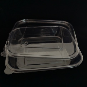 Kotak sekali pakai plastik Medium dengan tutup Bening, kotak roti persegi Ke wadah makanan penutup, kue, Sushi, potongan kue - Product Image 5